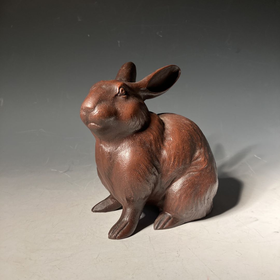 rabbit in iron in grey room