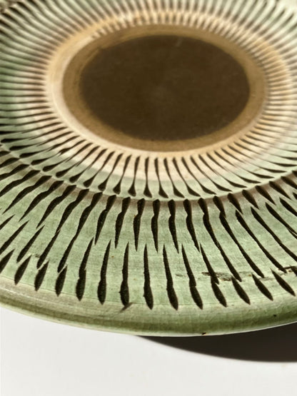 Close-up of a green ceramic plate with concentric circle design