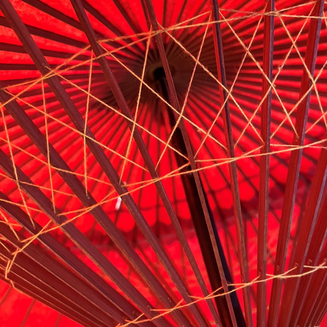 Close-up of a red paper lantern with intricate design