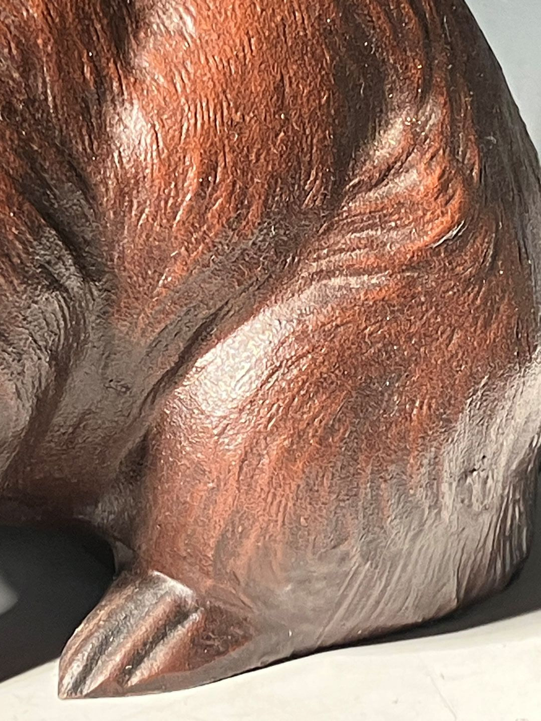 feet rabbit in a grey room