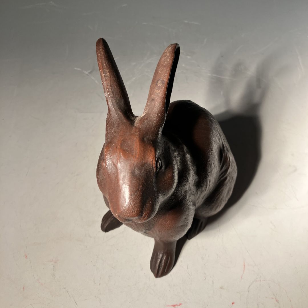 top view of a rabbit grey room