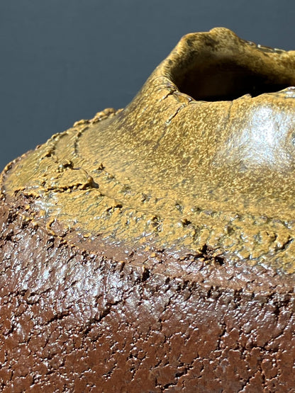 Close-up of a textured surface with brown and beige colors